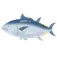 User tunamaguro